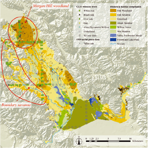 The south eastern portion of the Santa Clara Valley reconstructed by historical ecologists. The oak woodlands of Morgan Hill have been replaced with urban development; the southern alkali meadows no longer exist. From: Whipple AA, Grossinger RM, Davis FW (2011) Shifting baselines in a California oak savanna: nineteenth century data to inform restoration scenarios. Restoration Ecol 19: 88–101