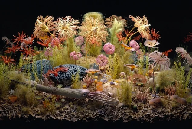 Abundant nutrients and sunlight led to a proliferation of filter-feeders that plucked algae from the water. Source