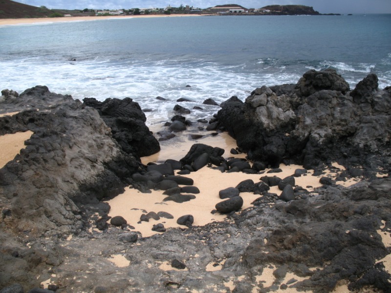 Learning to grow without water on rocks with very little soil, as it turns out, is possible but takes a 100 million years or so to get right. 