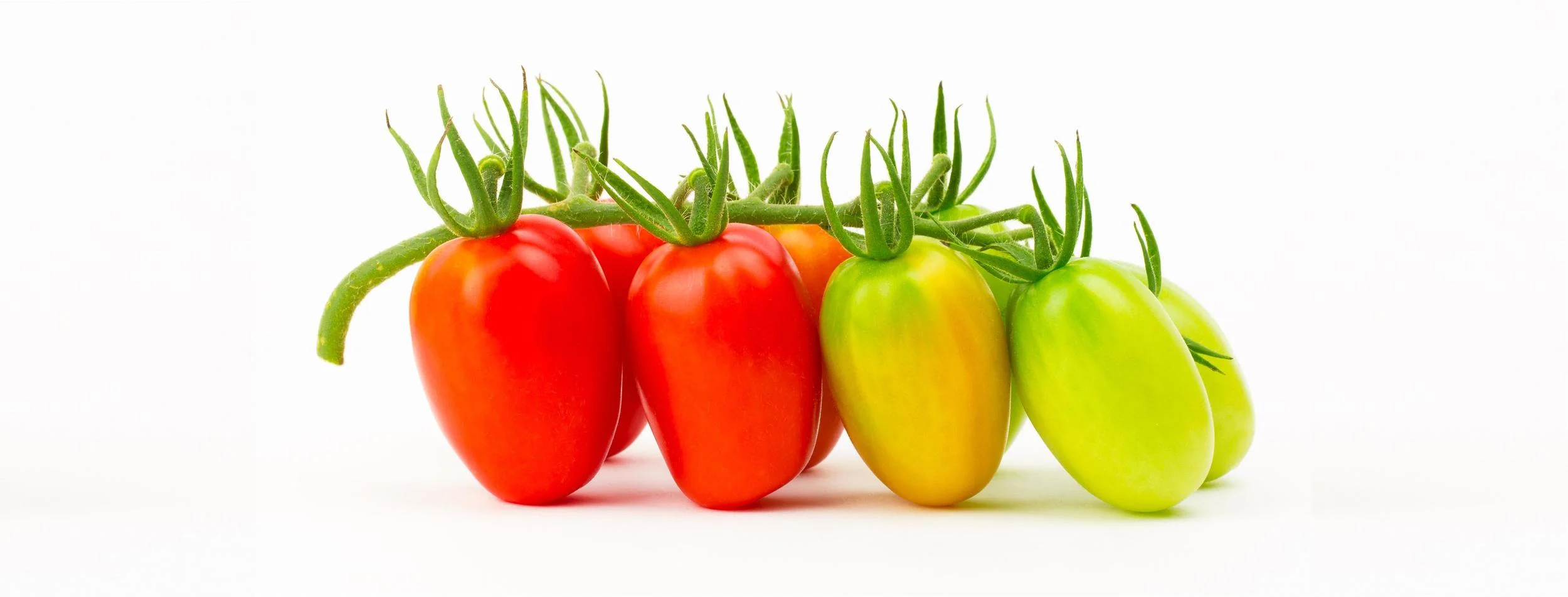 Ethylene induces ripening from the oldest fruits, gradually diffusing outward ( source )