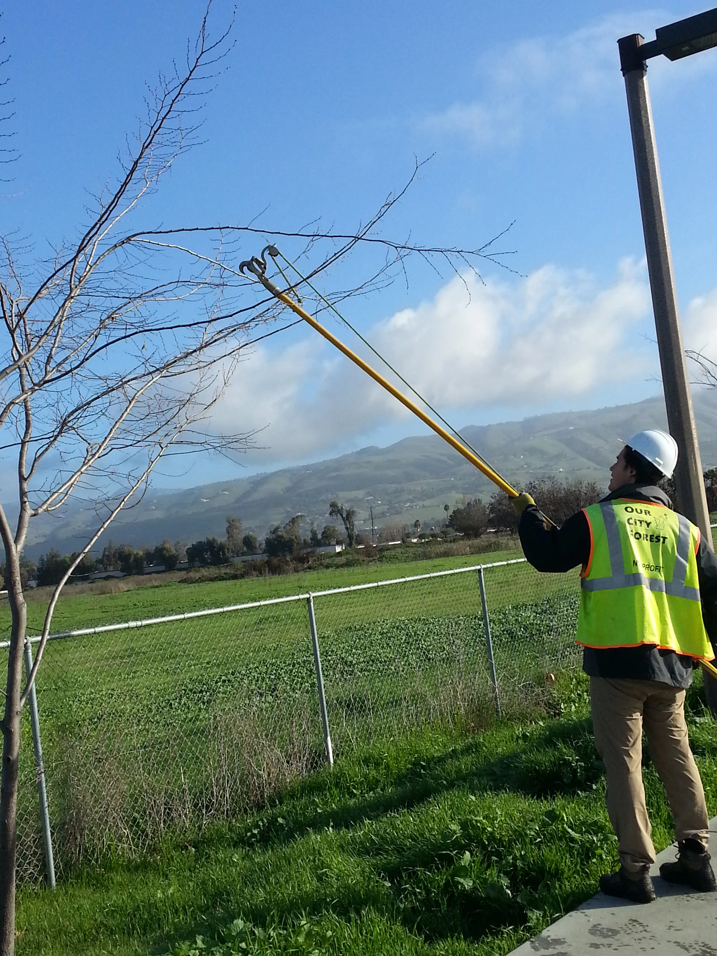 Sometimes you need extra reach to clip crossing or close branches in the canopy. 
