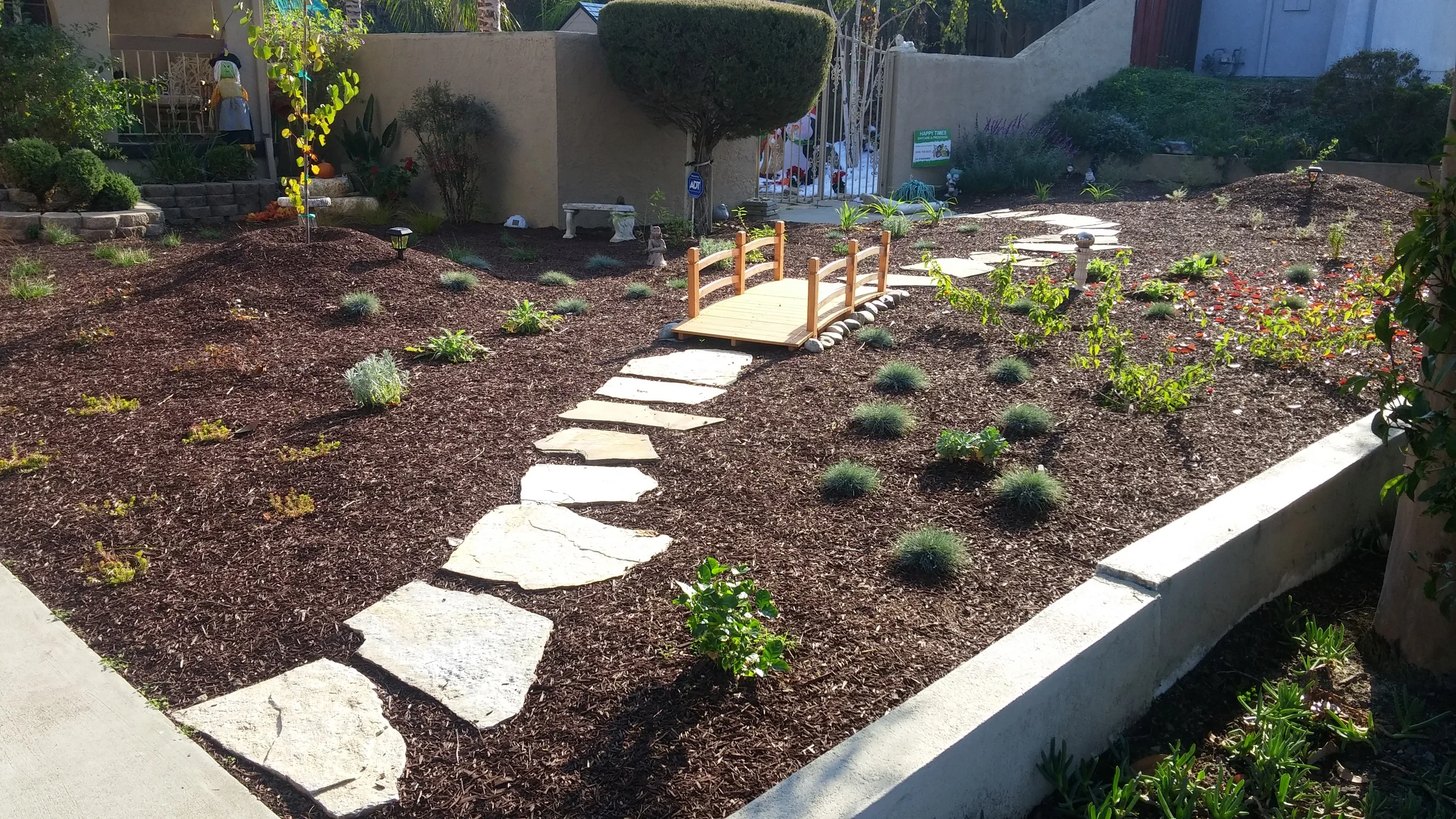 One of our landscapes, a few months after conversion, the native plants are establishing nicely. 
