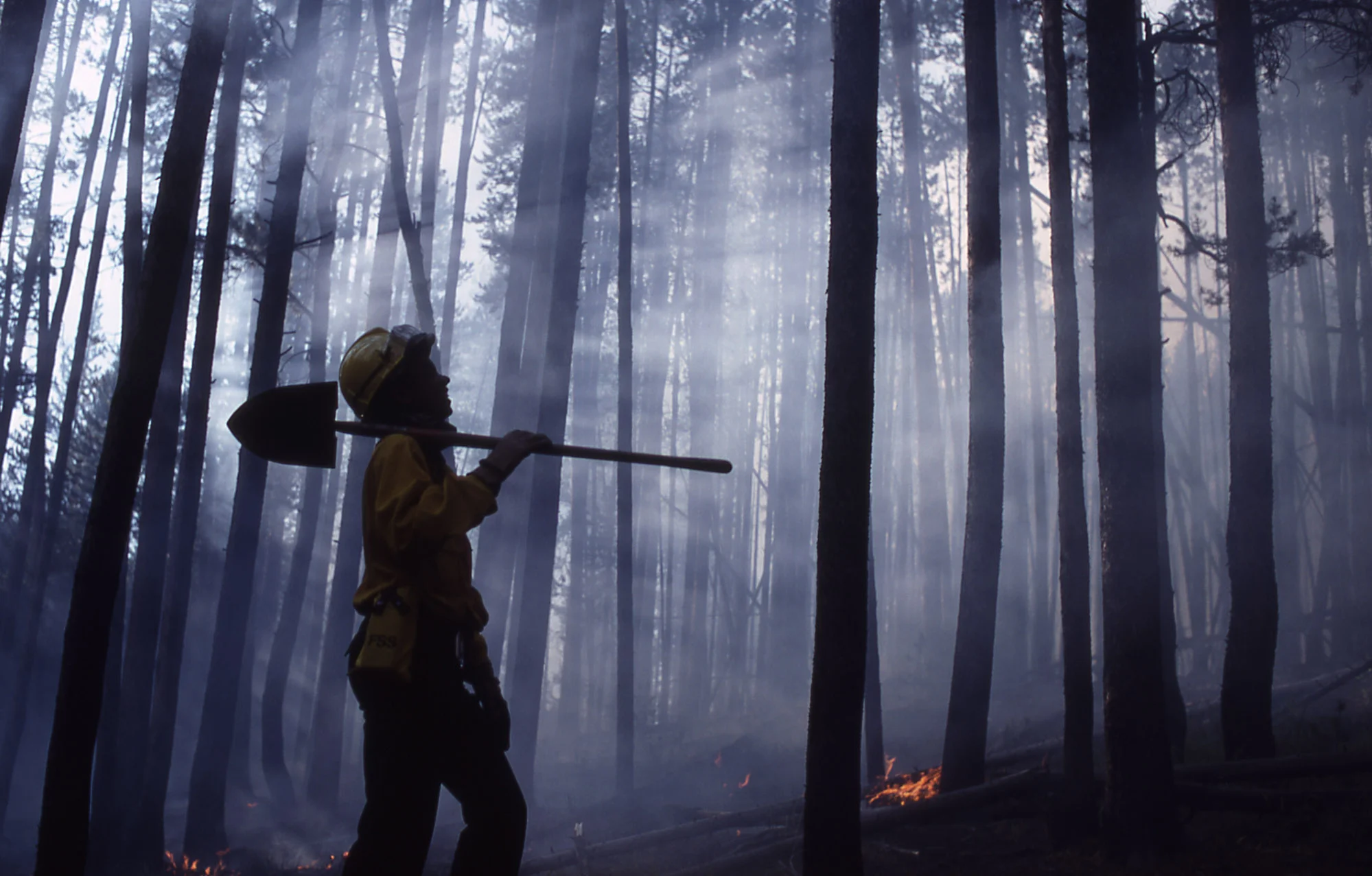 Dr. Bowser during the Yellowstone Fires of 1988 ( source and correction )