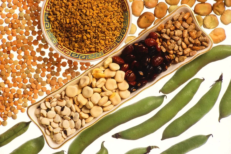 All the lonely legumes, where do they all come from? (By Keith Weller, Agricultural Research Service, USDA [Public domain)