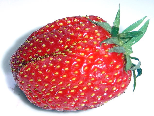 The strawberry, or should I say "straw achene accessory fruit". ( David Monniaux - Own work CC BY-SA 3.0 )