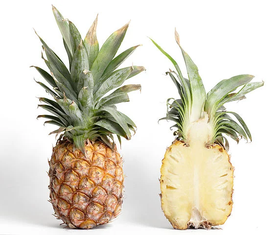 Pineapples are the most famous multiple fruit. Each cell is from an individual flower that develops into a massive fruit. (By Taken byfir0002 | flagstaffotos.com.au GFDL 1.2 ,)