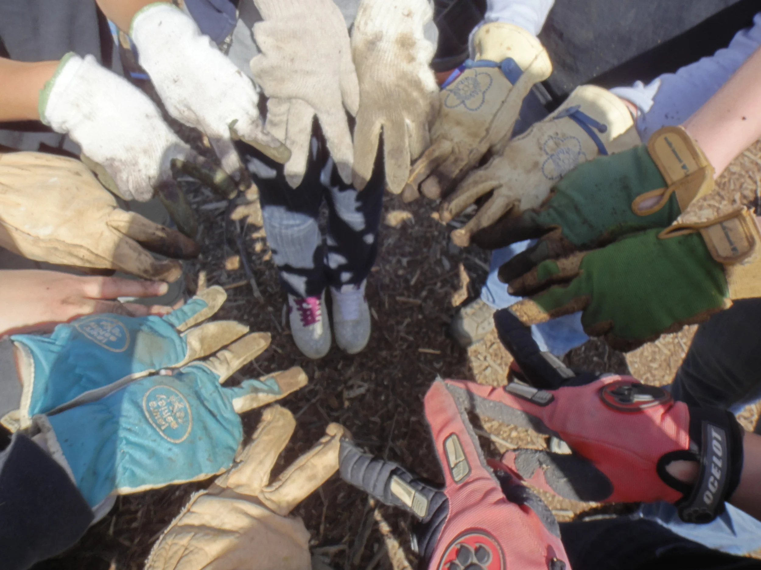 Why do you call it a Community Nursery? 