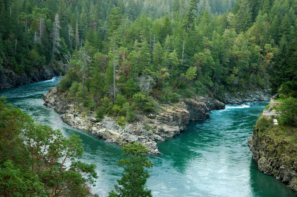 The Smith River where the South Fork Branches off (By Clinton Steeds , CC 2.0 Source ) 