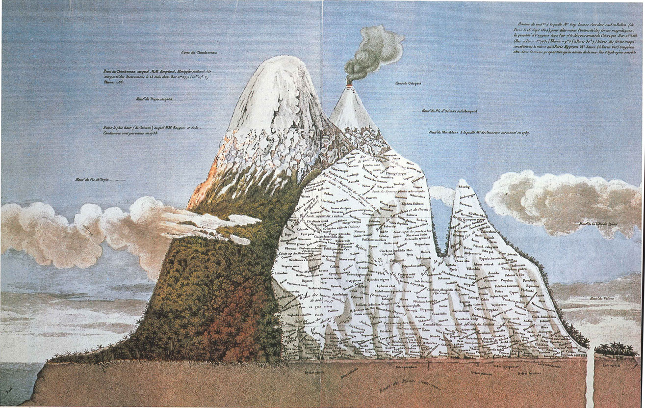  Humboldt produced a number of plant maps against elevation. Here we see plants grouped by genus and species arrayed against the mountain. ( source )&nbsp; 