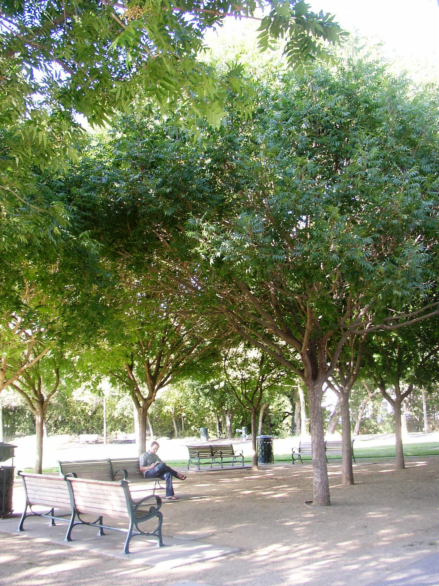 AIDS Memorial Grove - 2009