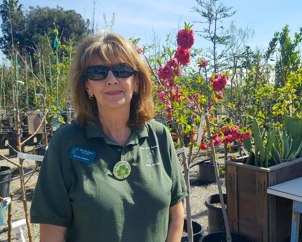 Sharon Schuetze at the Community Nursery's open hours.