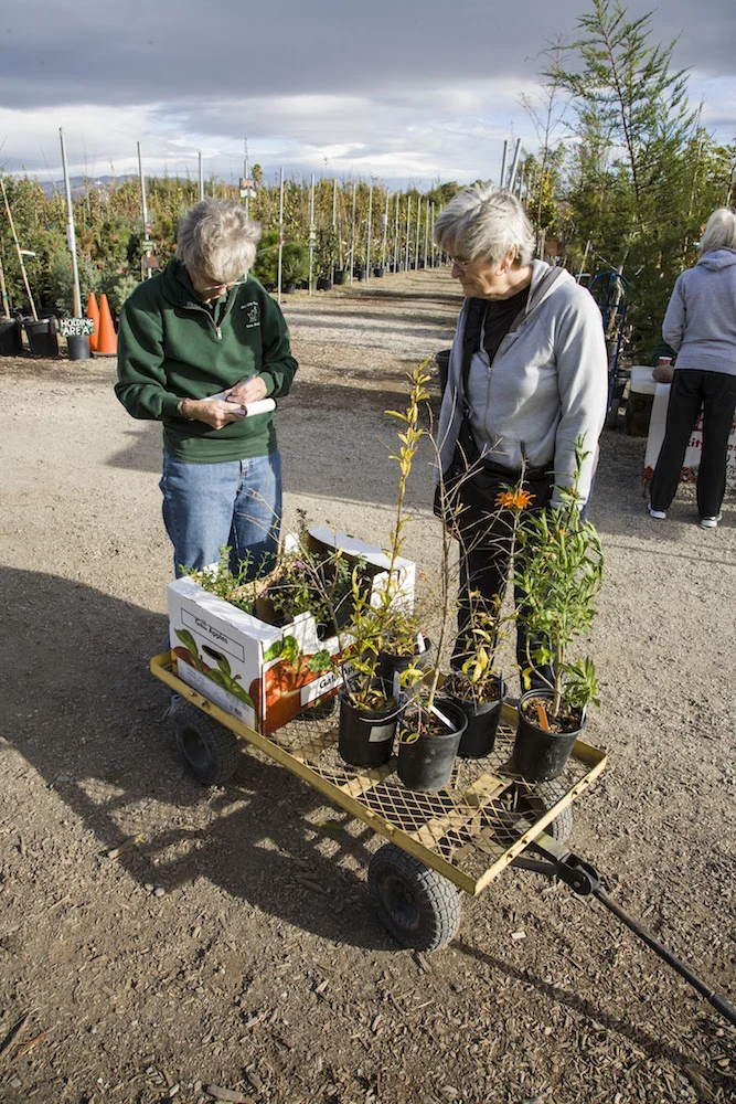 Judi Wilson writing up a receipt for a resident at the Fall Plant Sale Bonanza 2016.