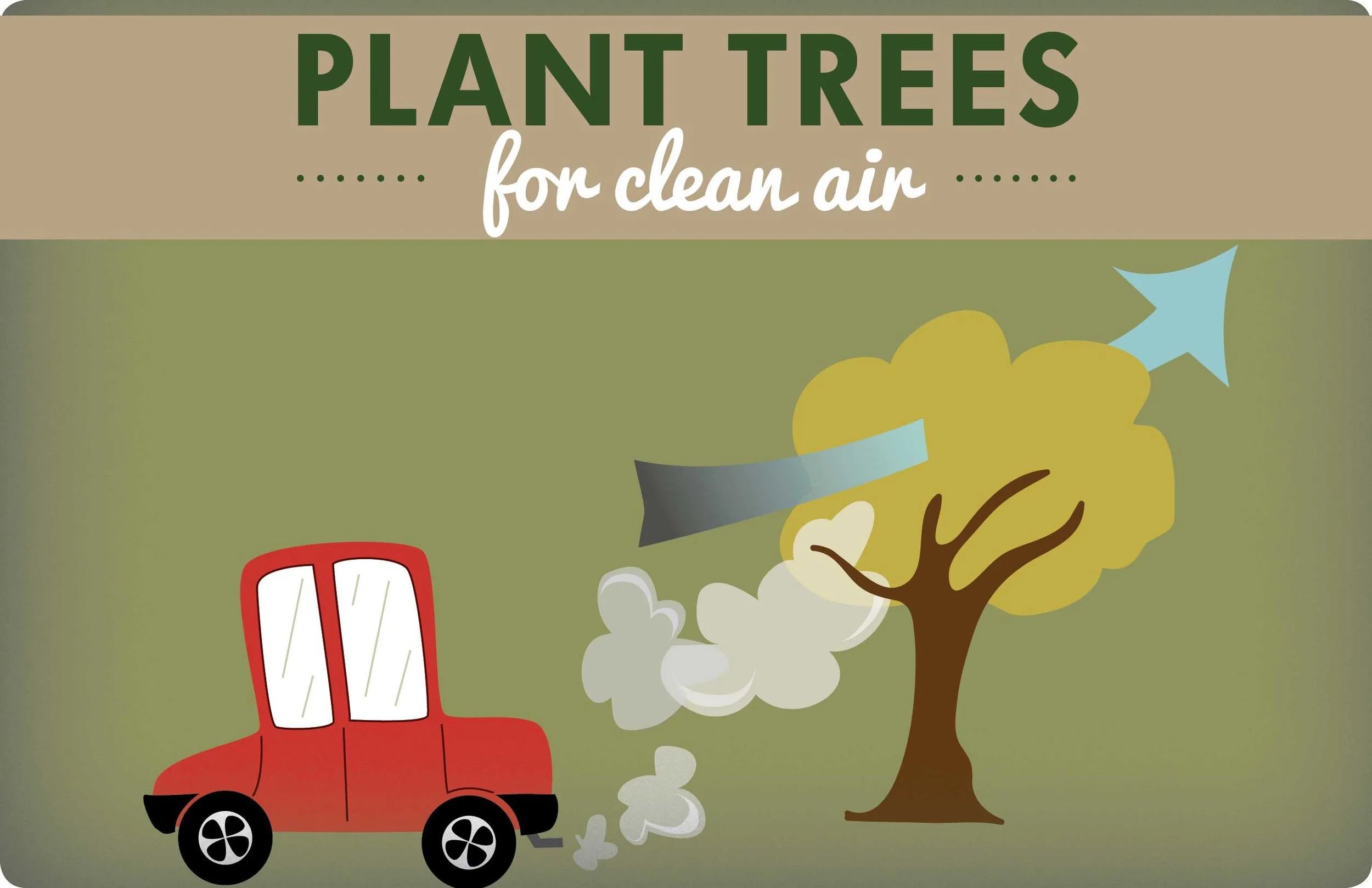 "TREE"sources— Our City Forest