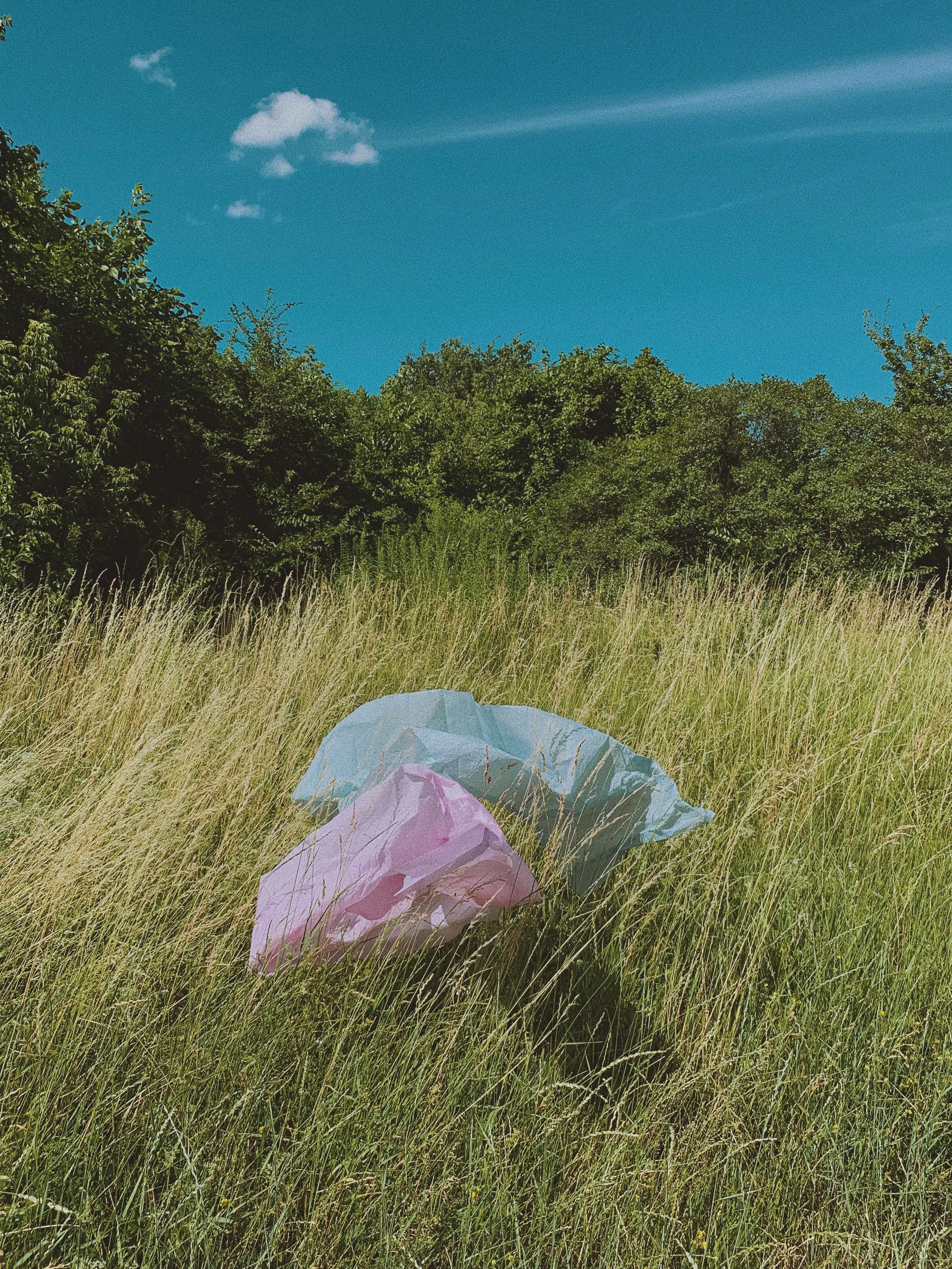 Sustainability During an Unsustainable Quarantine