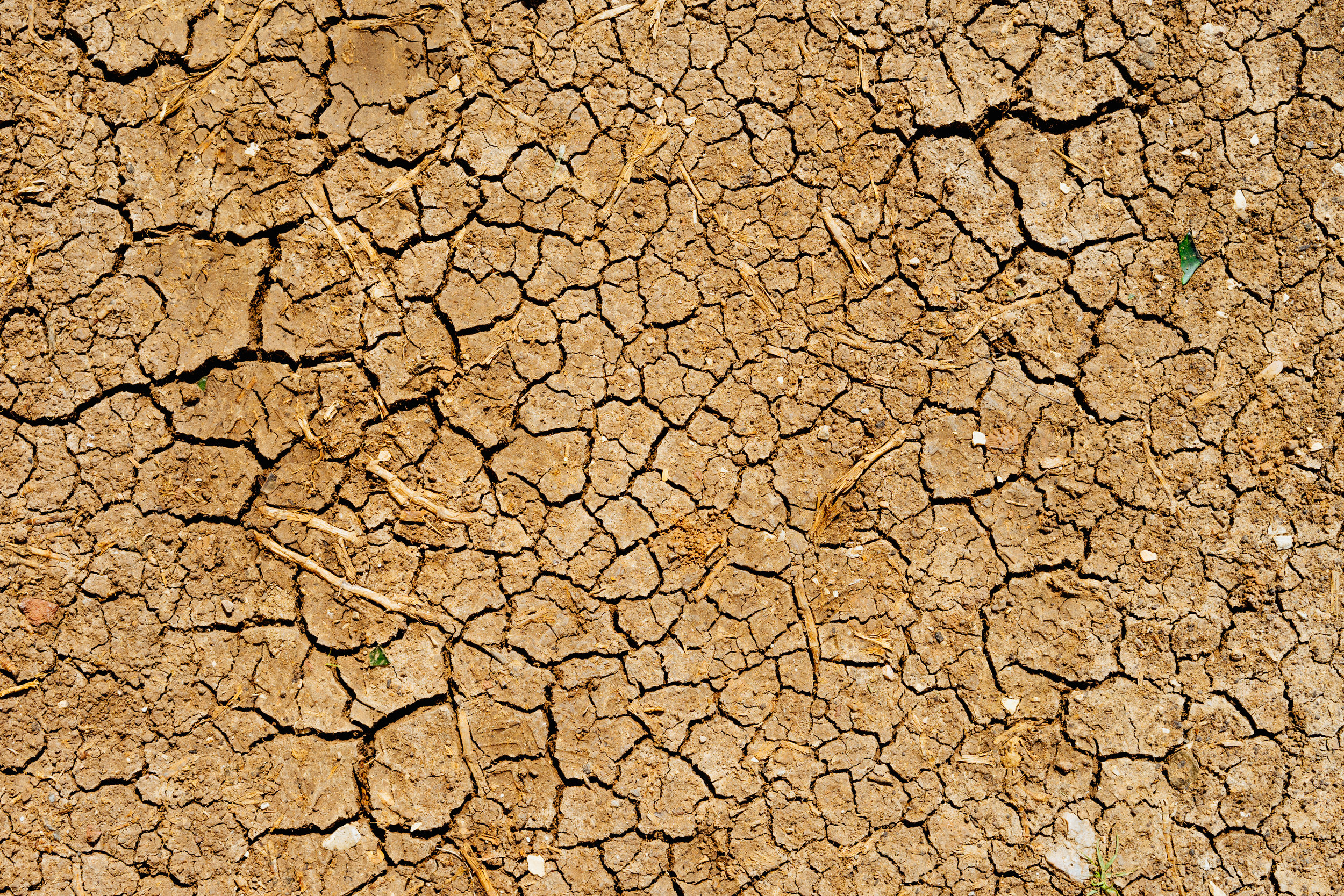 Of Deserts and Droughts