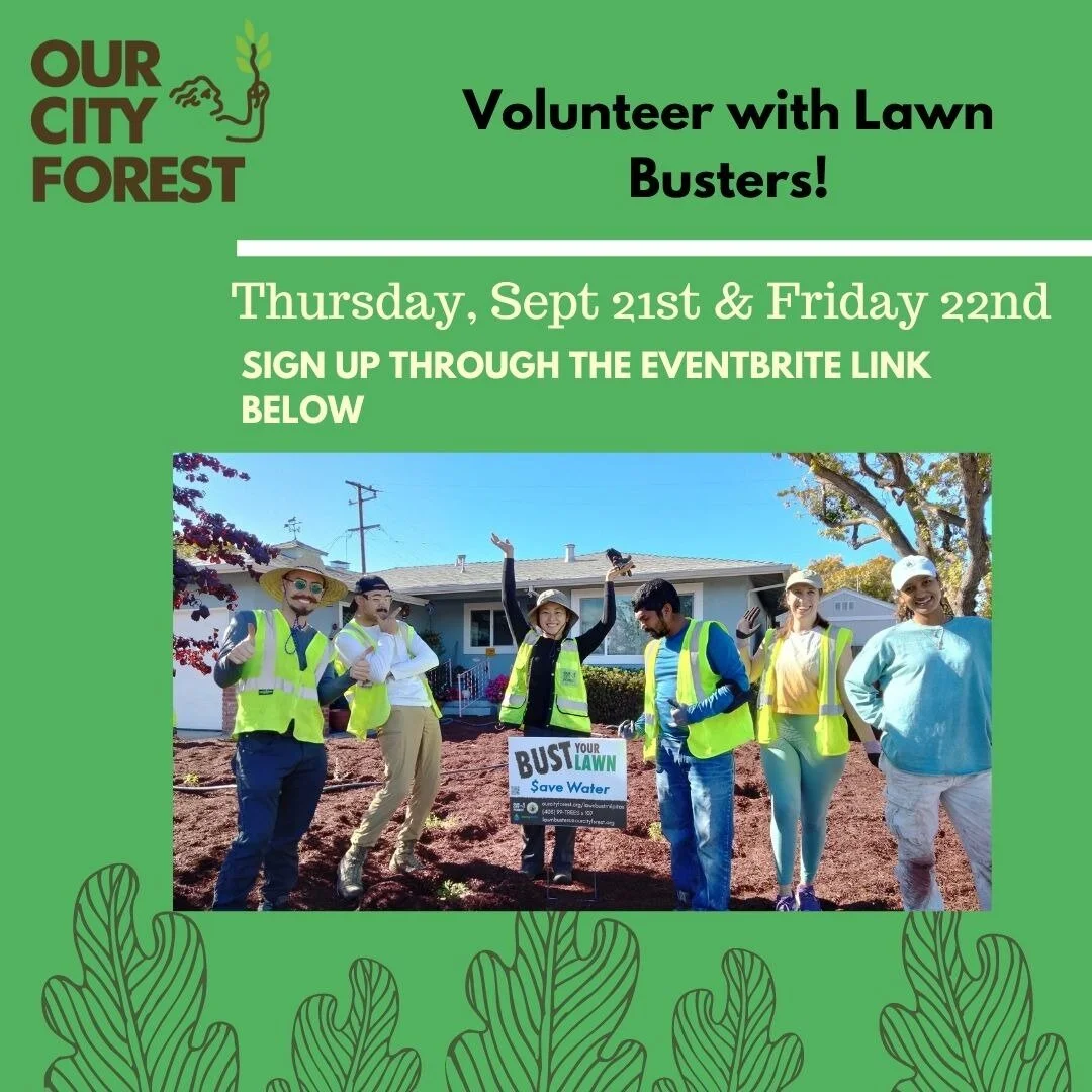 The Community Nursery— Our City Forest