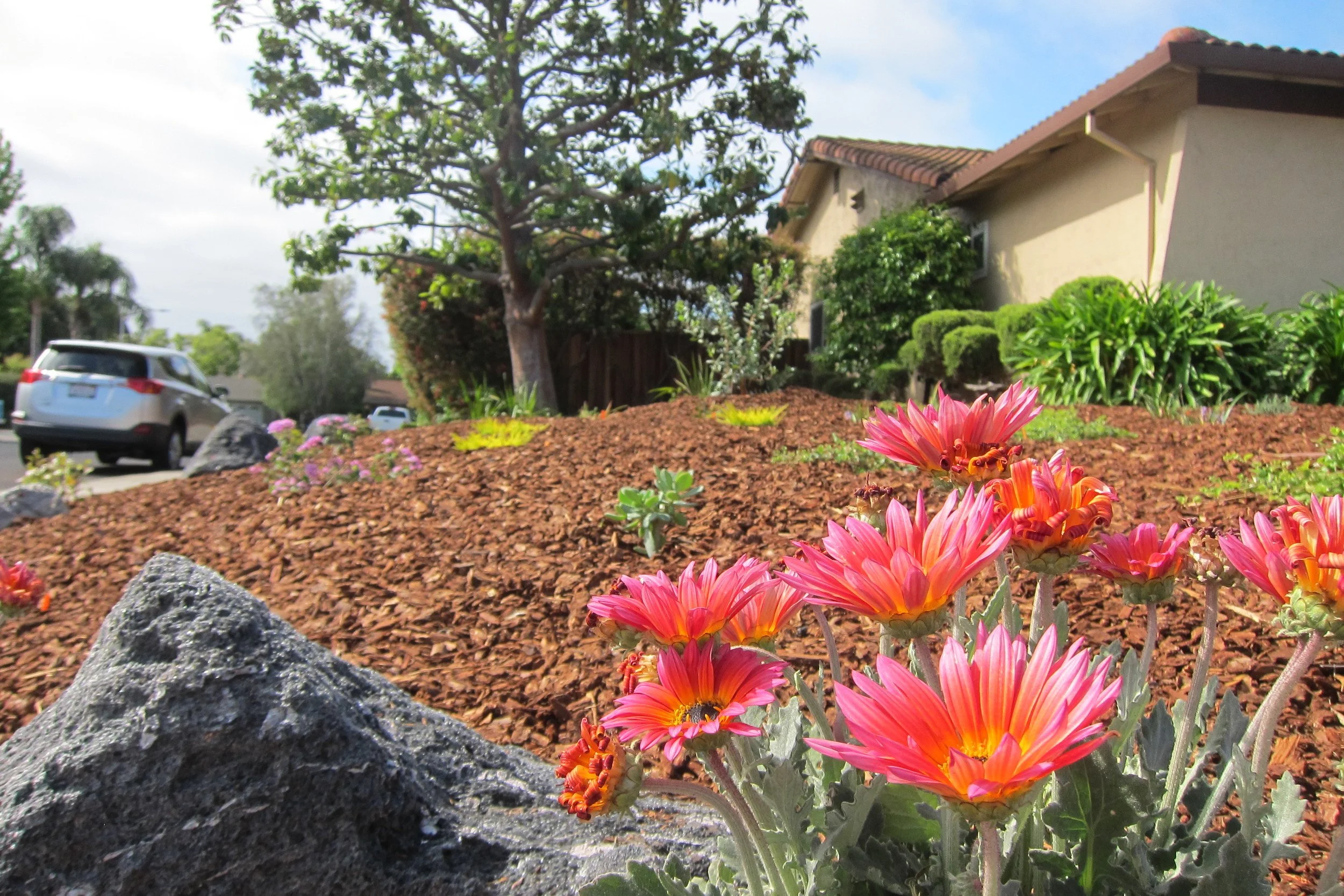 More Than Trees: Creating Habitat for the Urban Environment