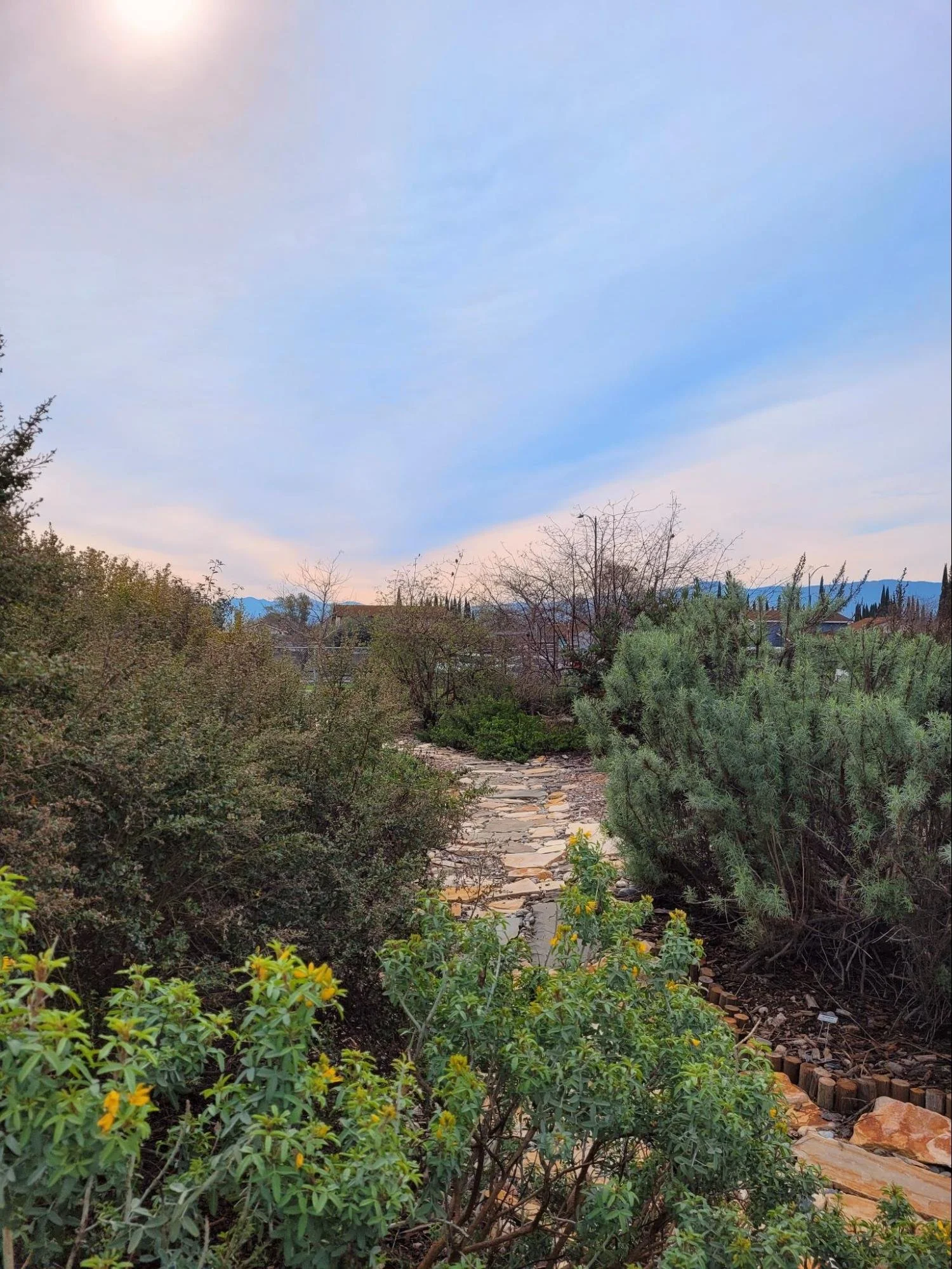 Our City Forest Joins the iNaturalist Community