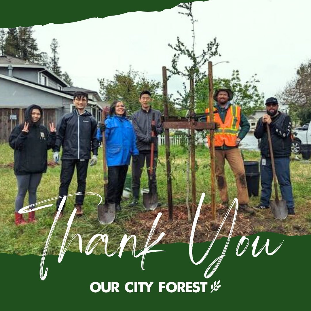 🌳 This past Saturday, Marijane Hamann Park was graced with 16 new trees. A heartfelt thank you to Vice Mayor Rosemary Kamei @sjdistrict1, Kankyu, John, Sophie, Rachel, Louie, and all our incredible volunteers. Your efforts are making our community g