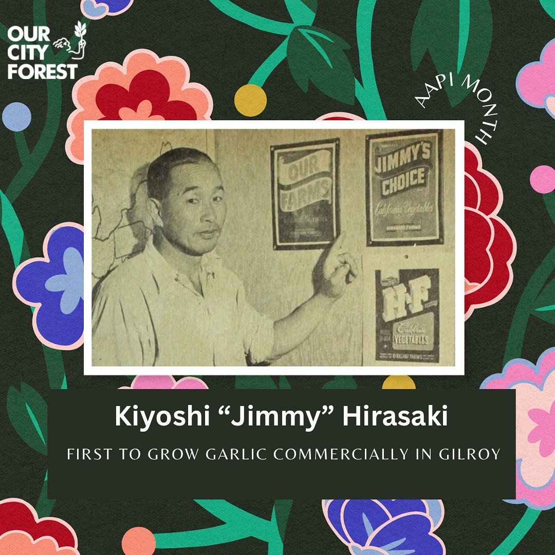 🇯🇵Kiyoshi &ldquo;Jimmy&rdquo; Hirasaki (1900 - 1963), Issei (first generation Japanese immigrant) farmer was born in Kumato Prefecture, Kyosho, a southern island in Japan. He moved to California at 14 years old to join his dad and brother to work i