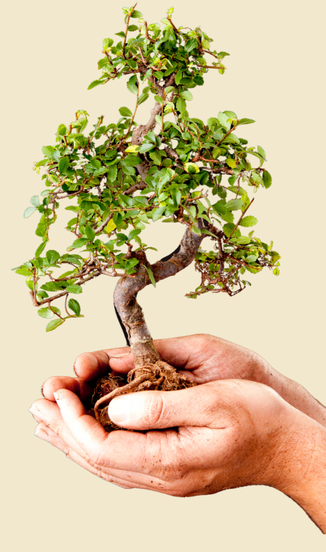 Our City Forest's 2026 "Growing Our Future" Gala