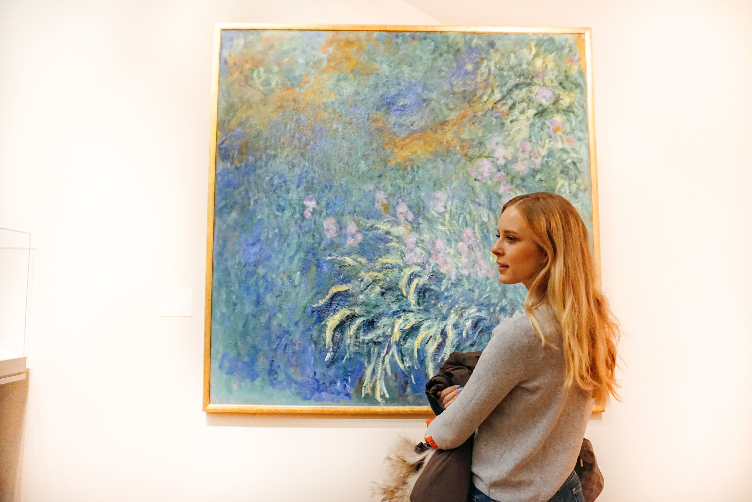 Art Institute of Chicago, Millennium Park. United States of America. Monet