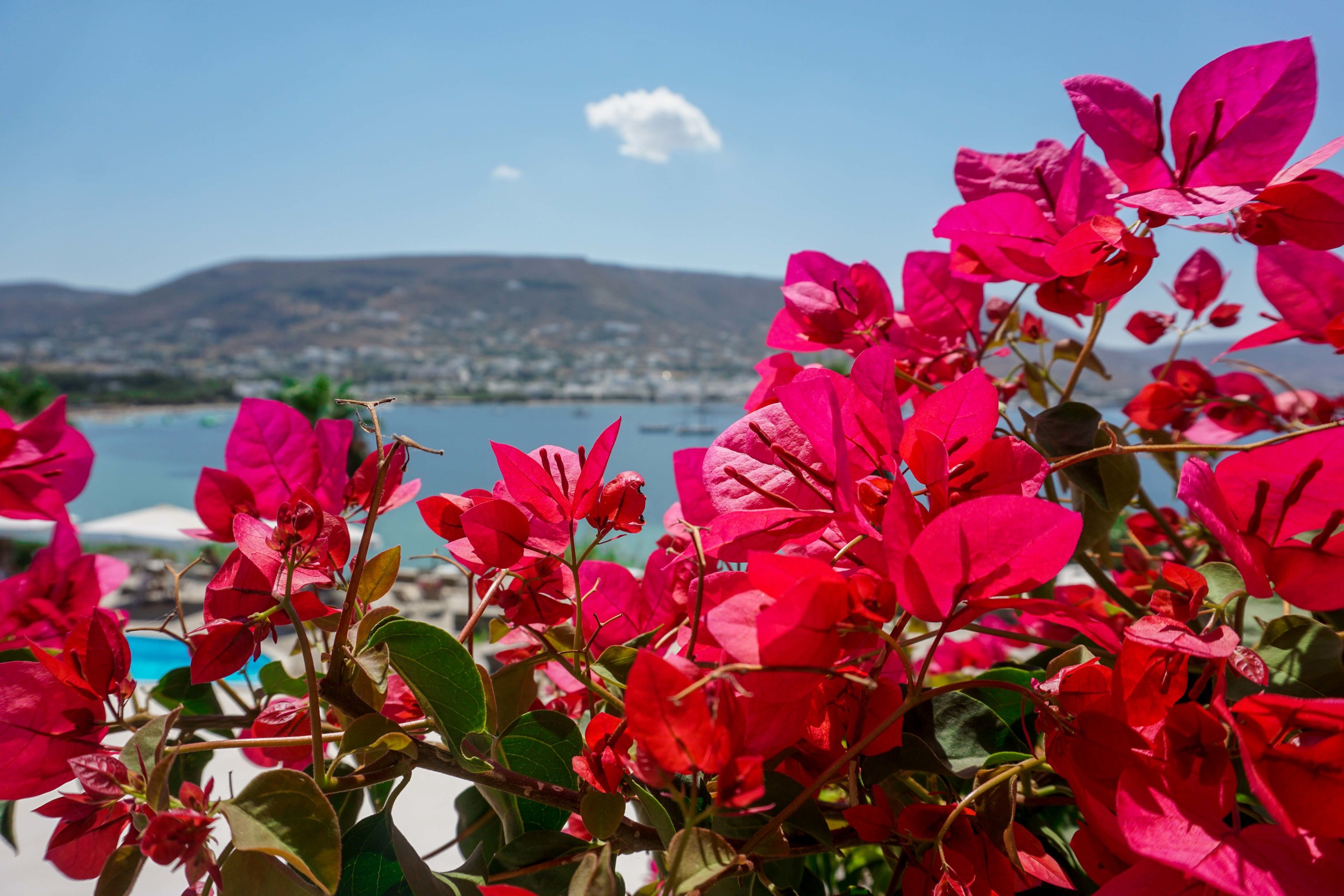 The Parian Village in Paros, Greece