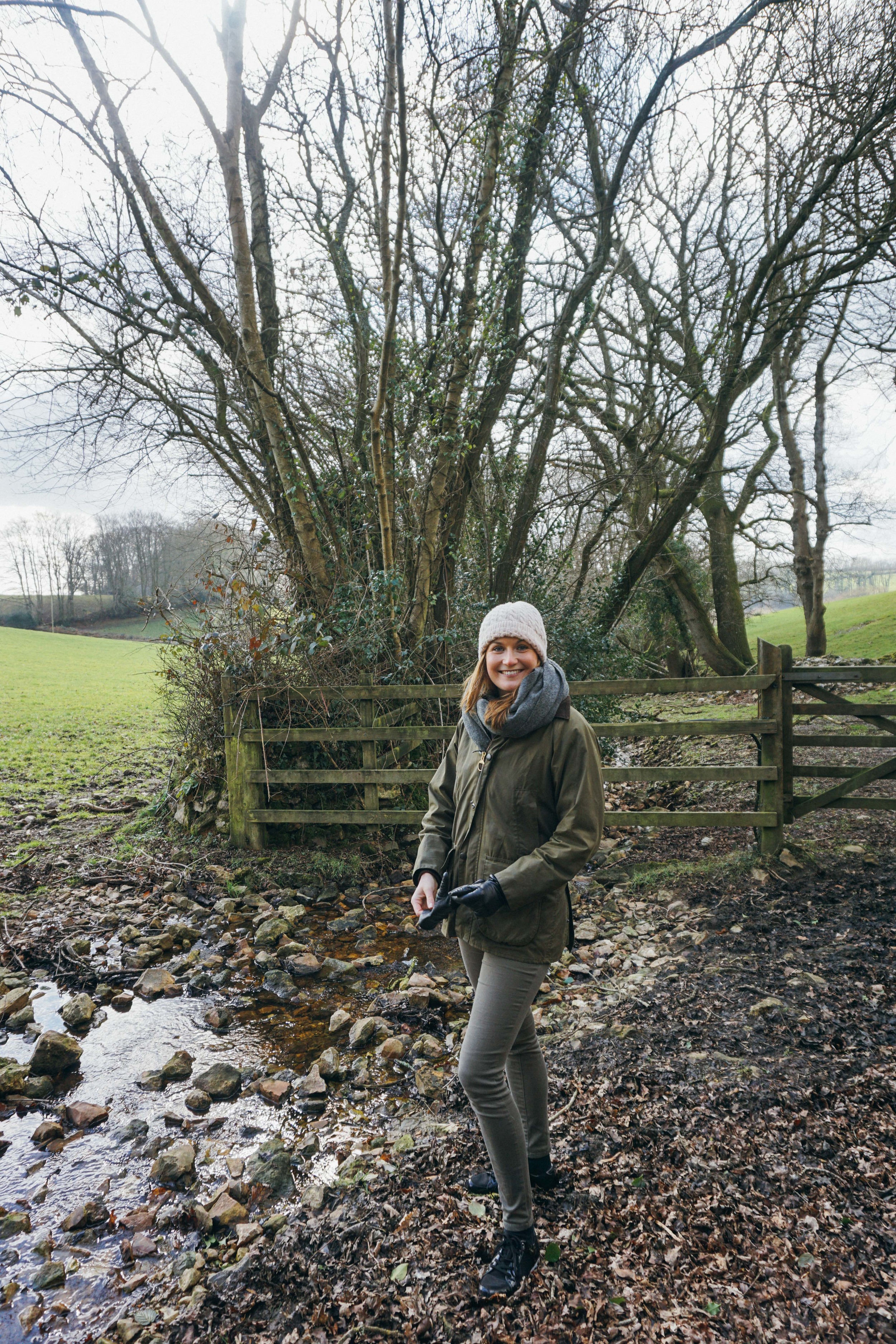 Somerset Countryside