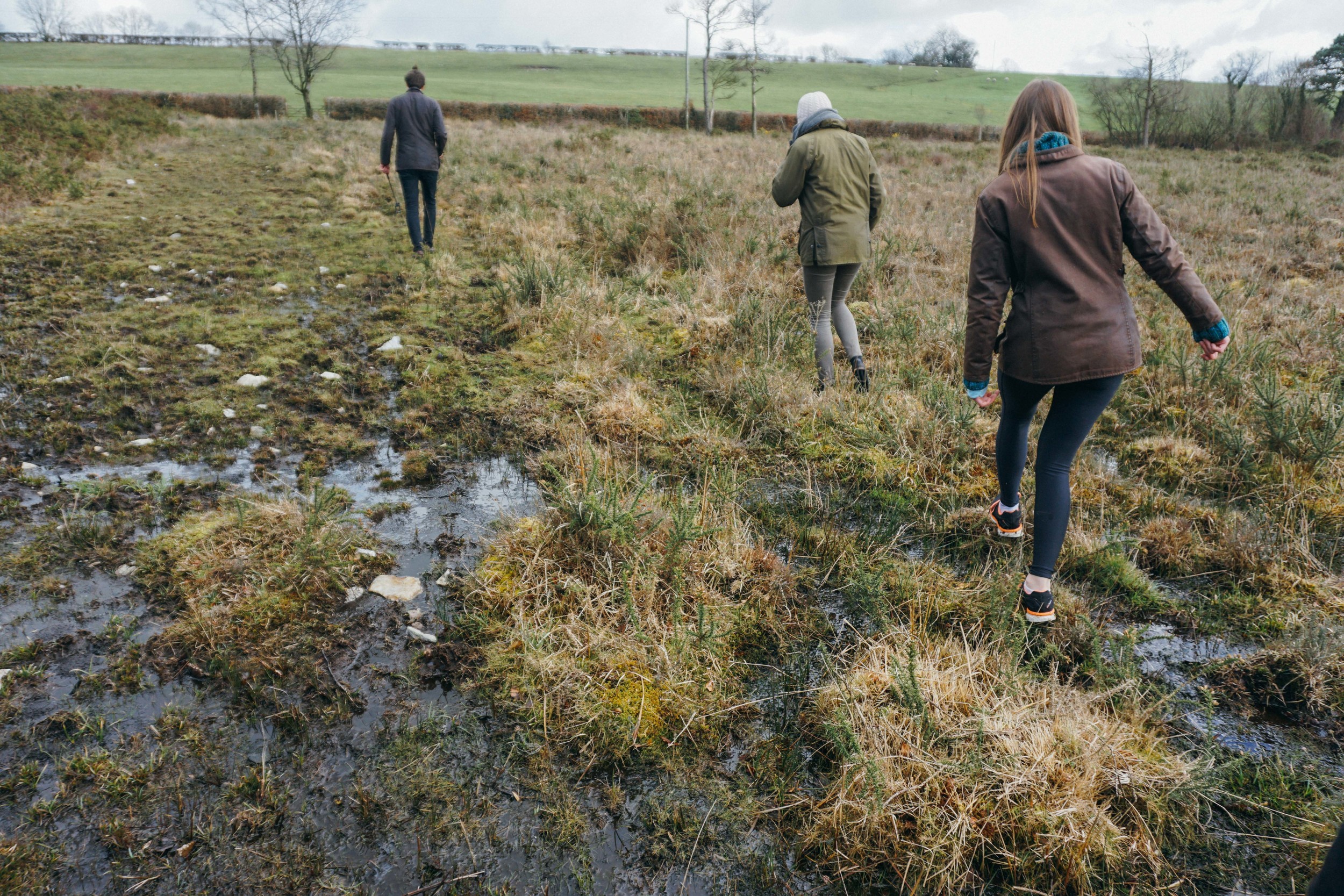 Somerset Countryside
