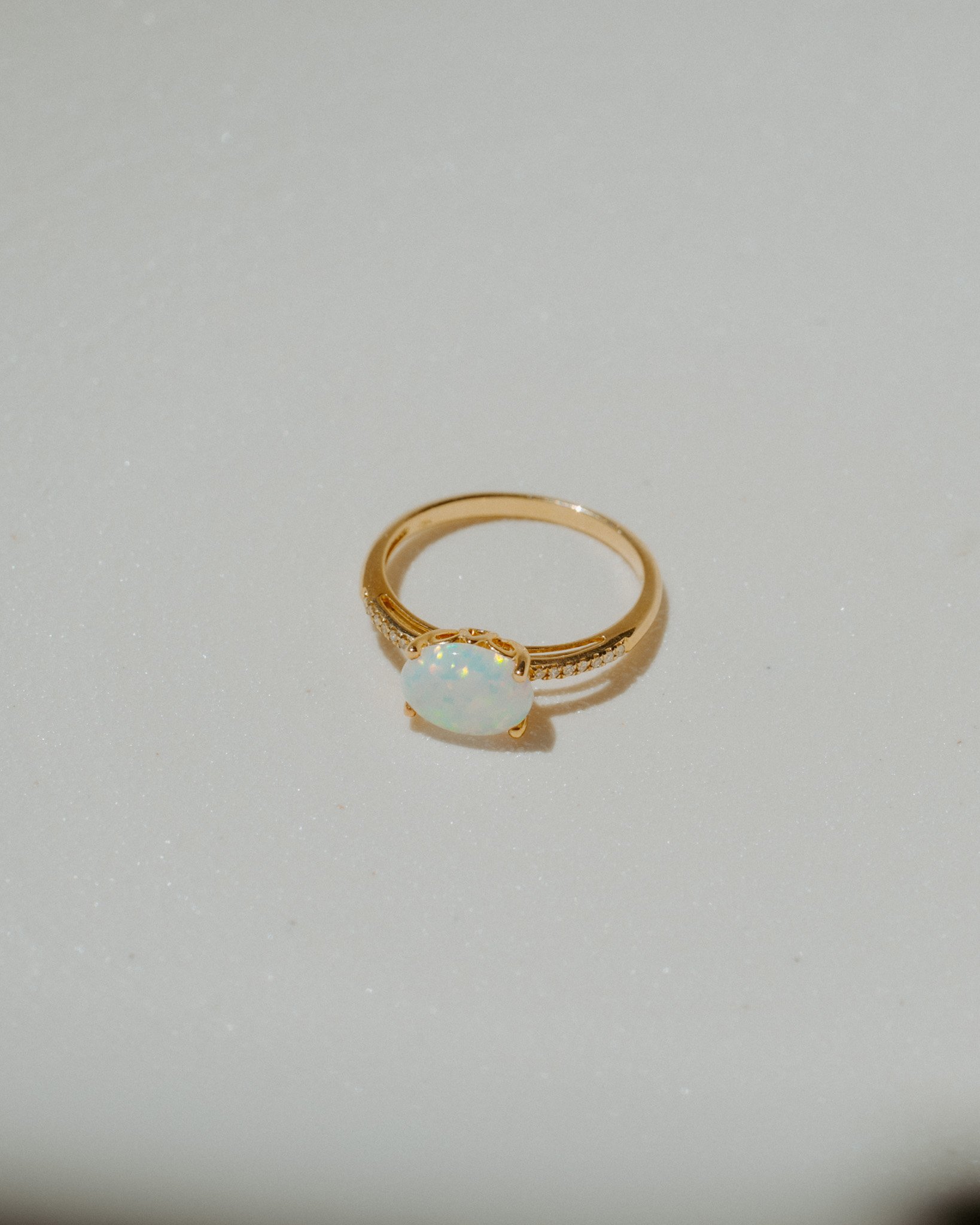 L37A0092.jpg