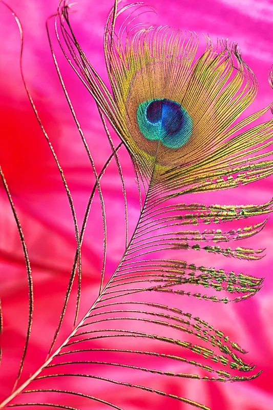 14081240837_cee8008580_o.jpg