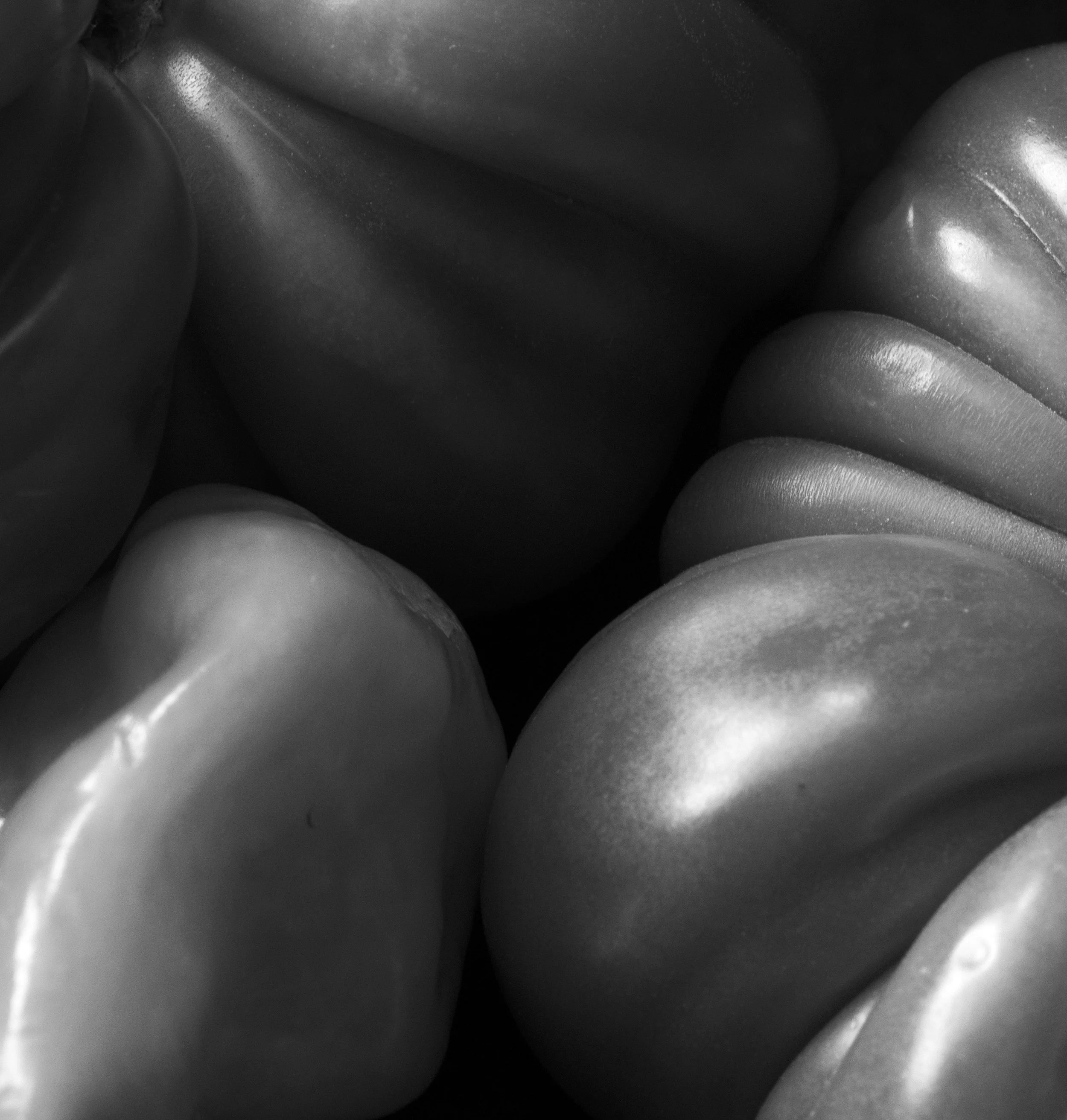 DSC_2896_bwfrag.jpg
