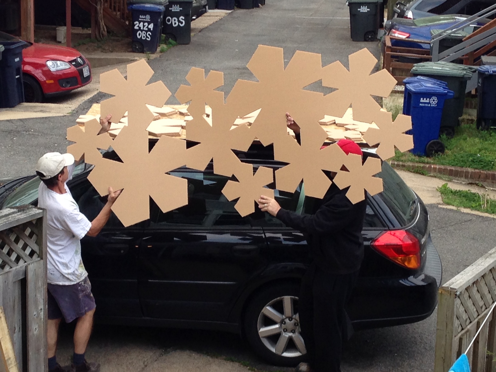 blossoms-on-car.jpg