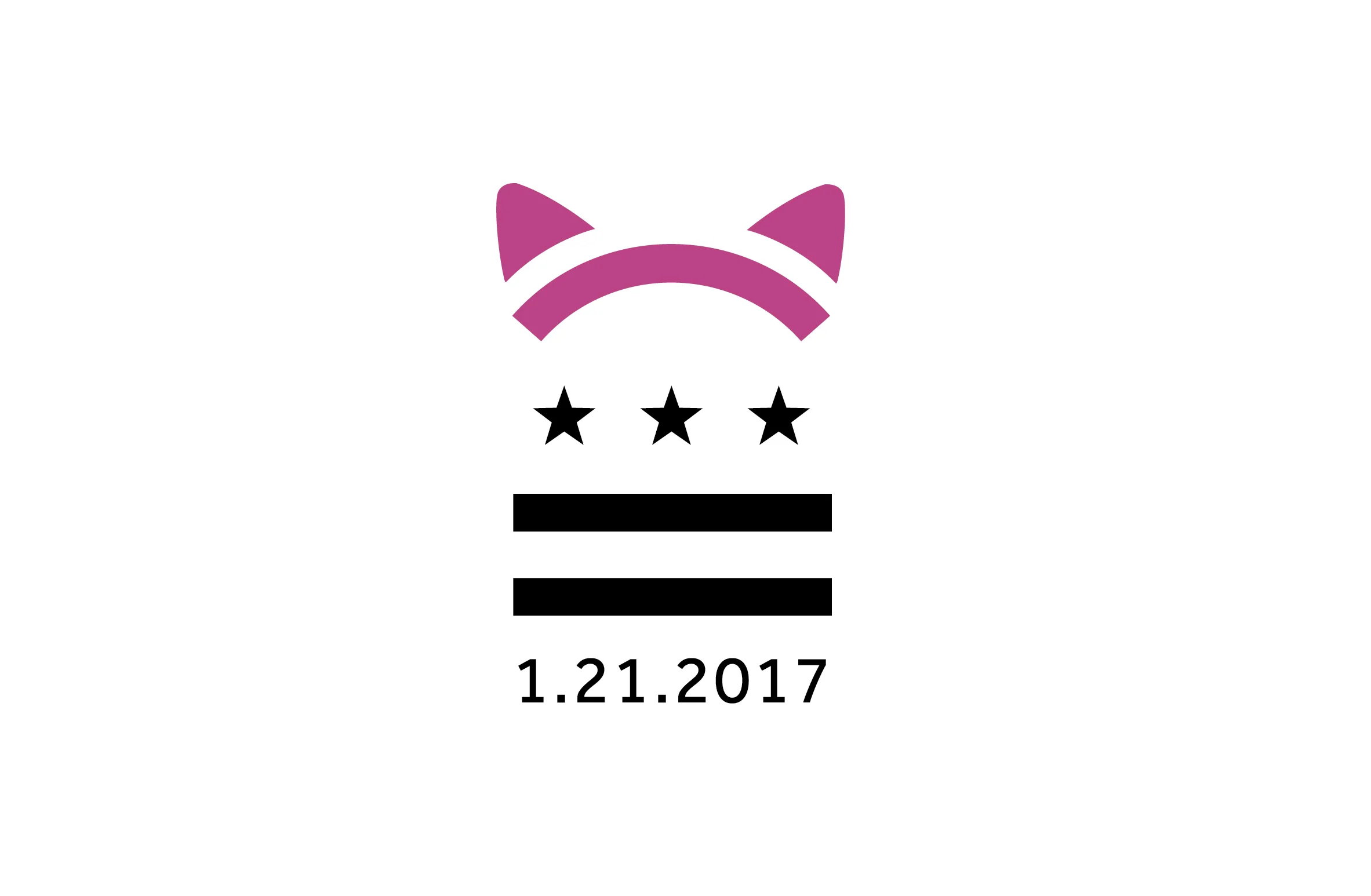 I Marched 2017 DC Flag Logo