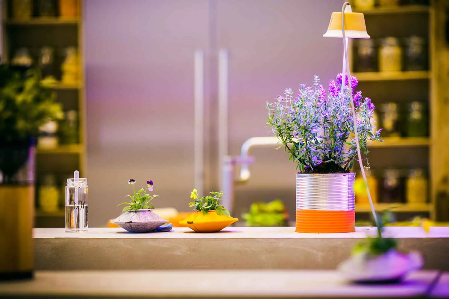 mettefarmkitchen_3-fl.jpg