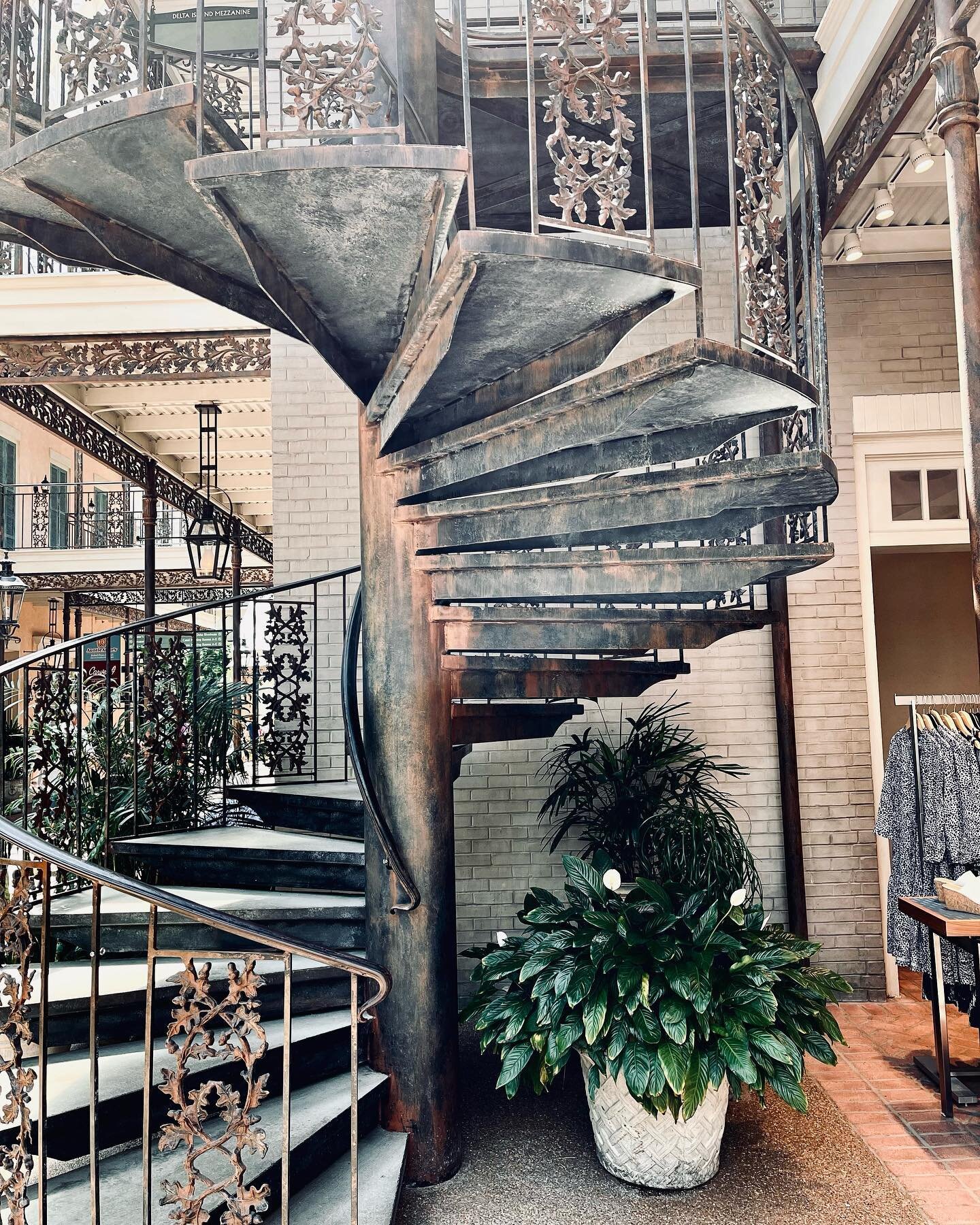 Love a good staircase. 

.
.
.
.
.
#spiralstaircase #rusticstaircase #elaboratestairs #devilisinthedetails #botanicalgardennashville #nasvhilletravel #downtownnashville #nashvillearchitecture #travelblog #gaylordopry #opryhotel