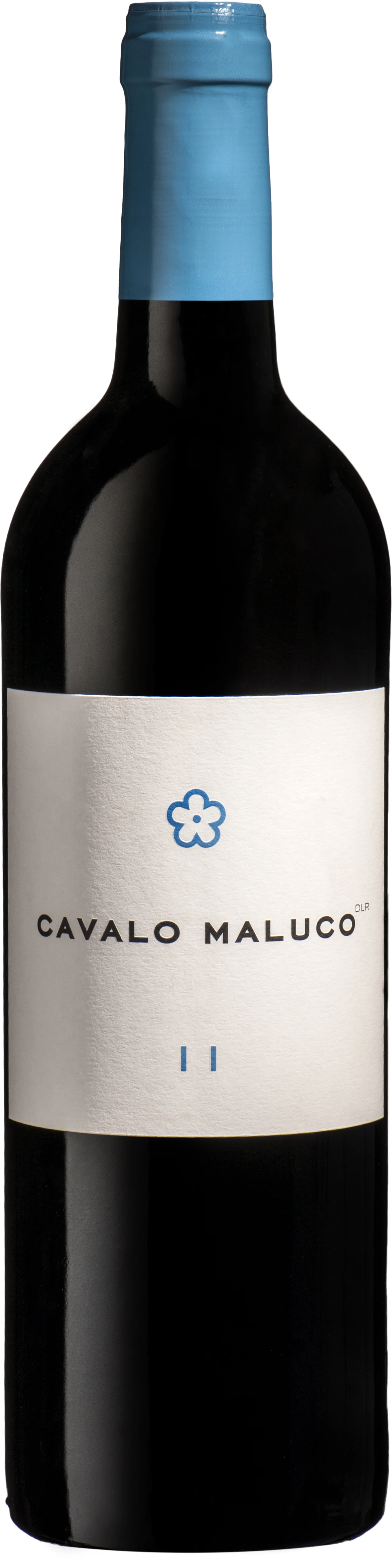 CAVALO MALUCO | 2011