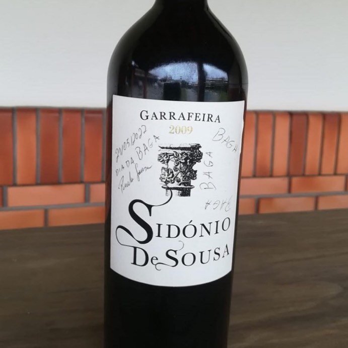 The very first official BAGA DAY is coming up on 5/21. 🤩🤩 A day to celebrate this addictive, deep, tempestuous, gorgeous, promising grape. Check out @sidonio.de.sousa.wines or any of the other @bagafriendsofficial for more local Bairrada event info