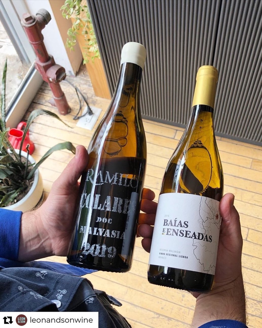 Lovin&rsquo; the ❤️ Repost from @leonandsonwine
&bull;
Saline wines from a cold, pin-sized beach/appellation of Colares. We love it all here but it&rsquo;s the highly local Malvasia that we come back to. As exciting as coastal white wines get in our 