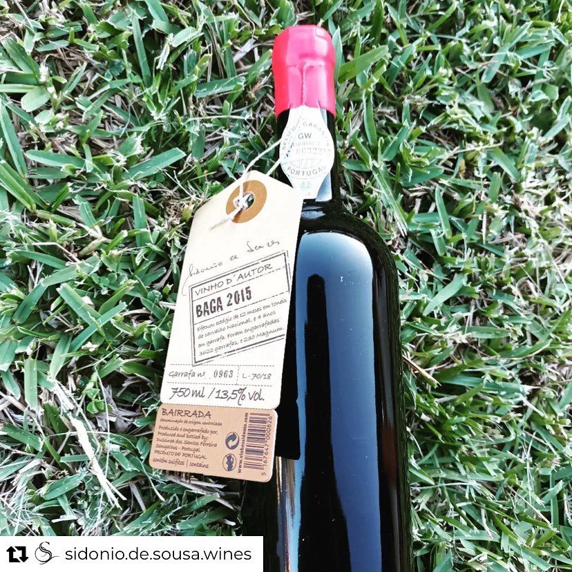 #comingsoon Repost from @sidonio.de.sousa.wines
&bull;
&hellip;the new VINHO D'AUTOR  DOC Bairrada 2015. A red wine made 100% with Baga -  12 months in 4000L Portuguese oak and 4 years in bottle.

#portugal #baga #bagafriends #bairrada #drinkportugal