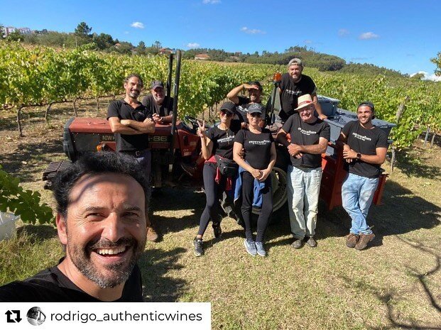 Harvest rolls in @espera.wines 
Repost from @rodrigo_authenticwines
&bull;
First harvest day&hellip;..PERFECT 🙌🙌🙌🙌🙌🙌🙌🙌🙌

#authenticwines #esperawines #touriganacional #rose #organicwines #atlanticwines #alcobaca