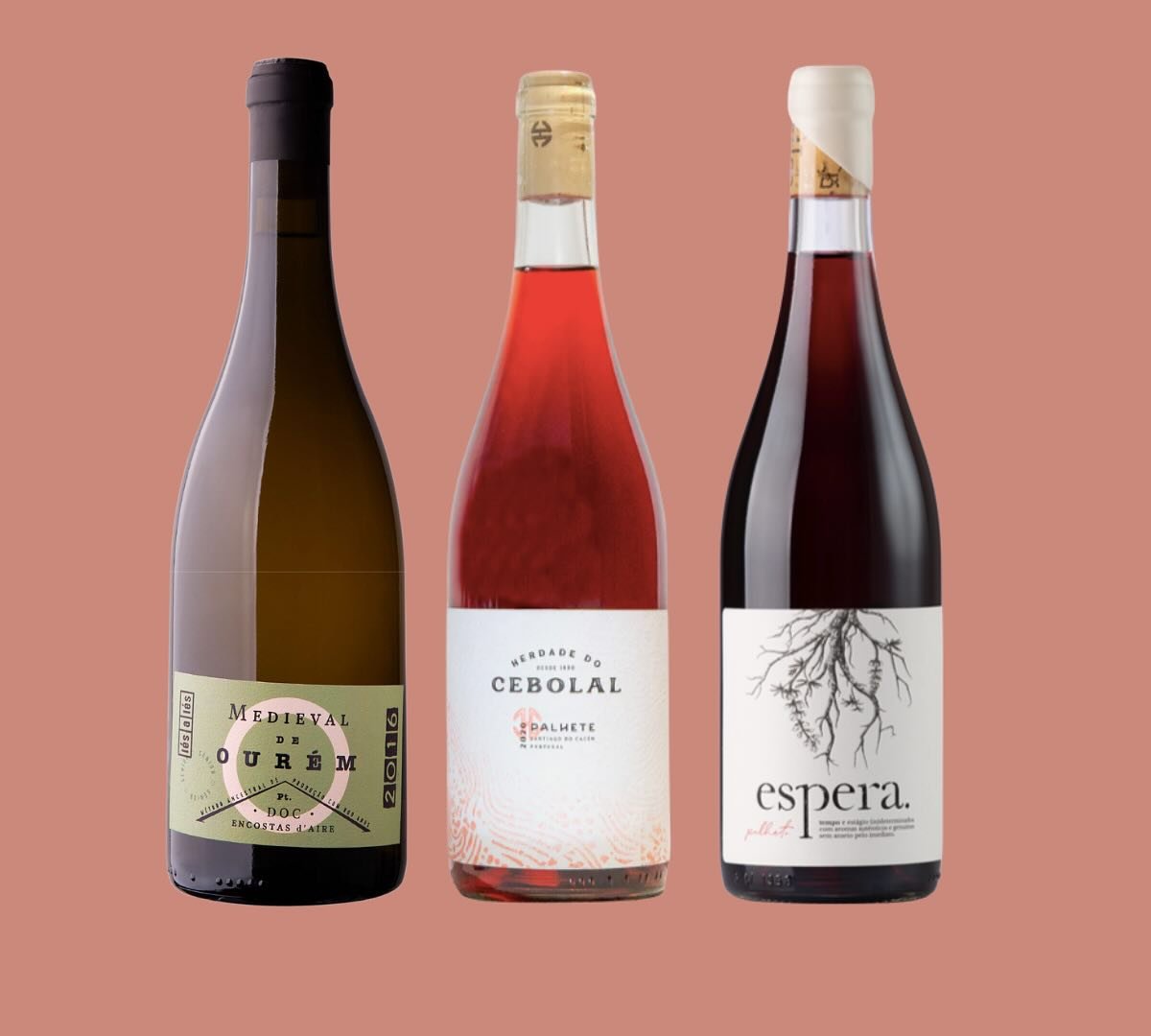 Reddish pinkish Palhetes for S&atilde;o Martinho ❤️

@lesalesvinhos @herdadedocebolal @espera.wines