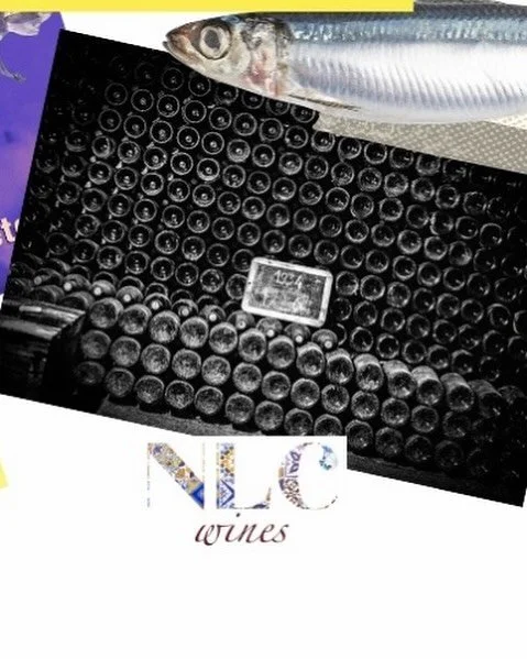 2026 Mood Board. Portugal - No Make Up Needed.