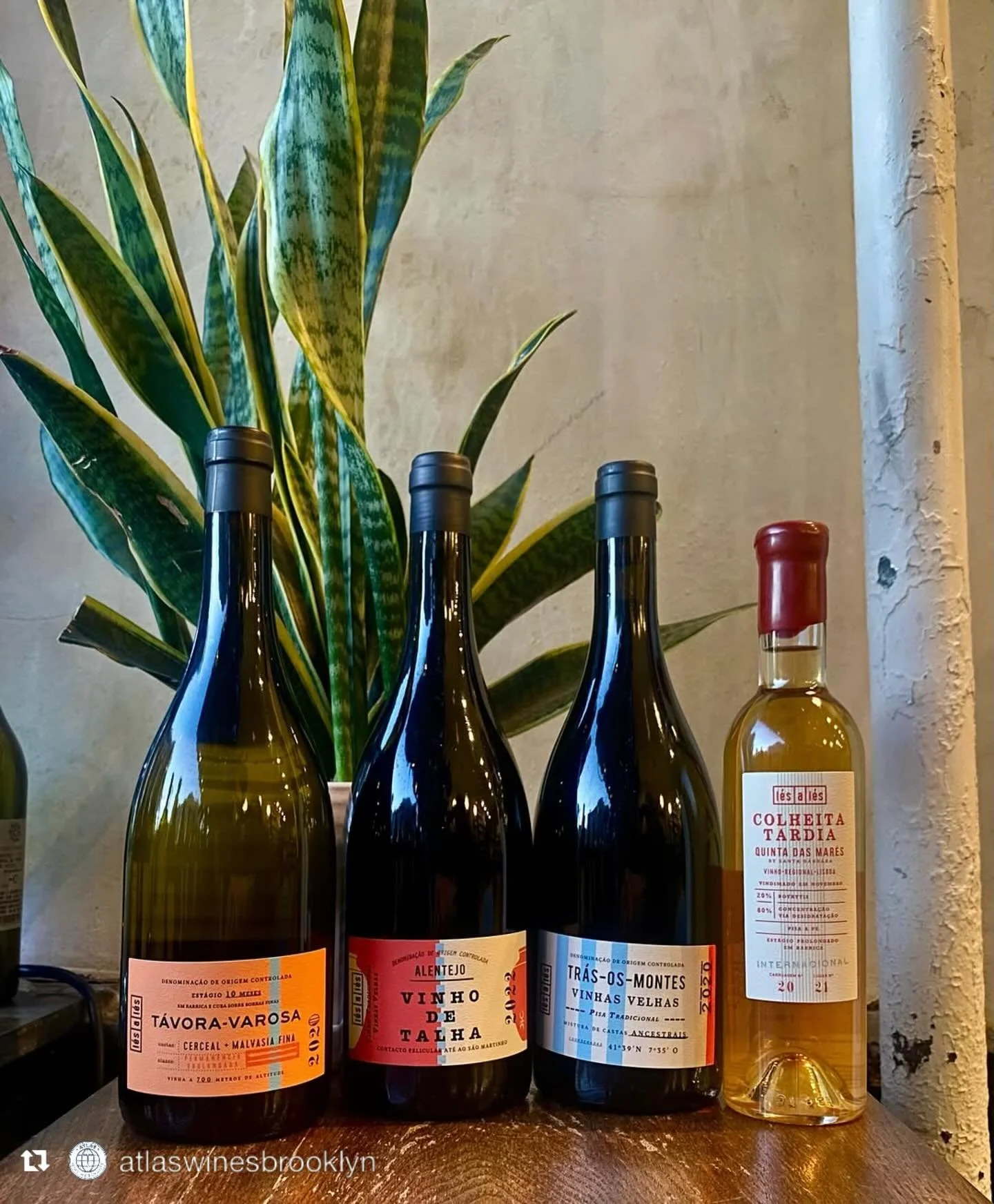 NOT to be missed 😎 Repost from @atlaswinesbrooklyn
&bull;
Our first official tasting this new year is with Phoebe Kling of @nlcwines, with a special focus on the wines of @lesalesvinhos !  Winemakers and longtime friends, Rui Lopez and Jorge Rosa Sa