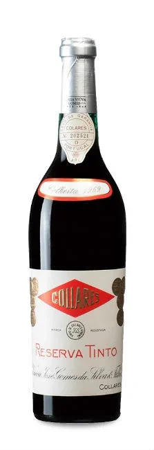 VIUVA GOMES | RAMISCO 1967