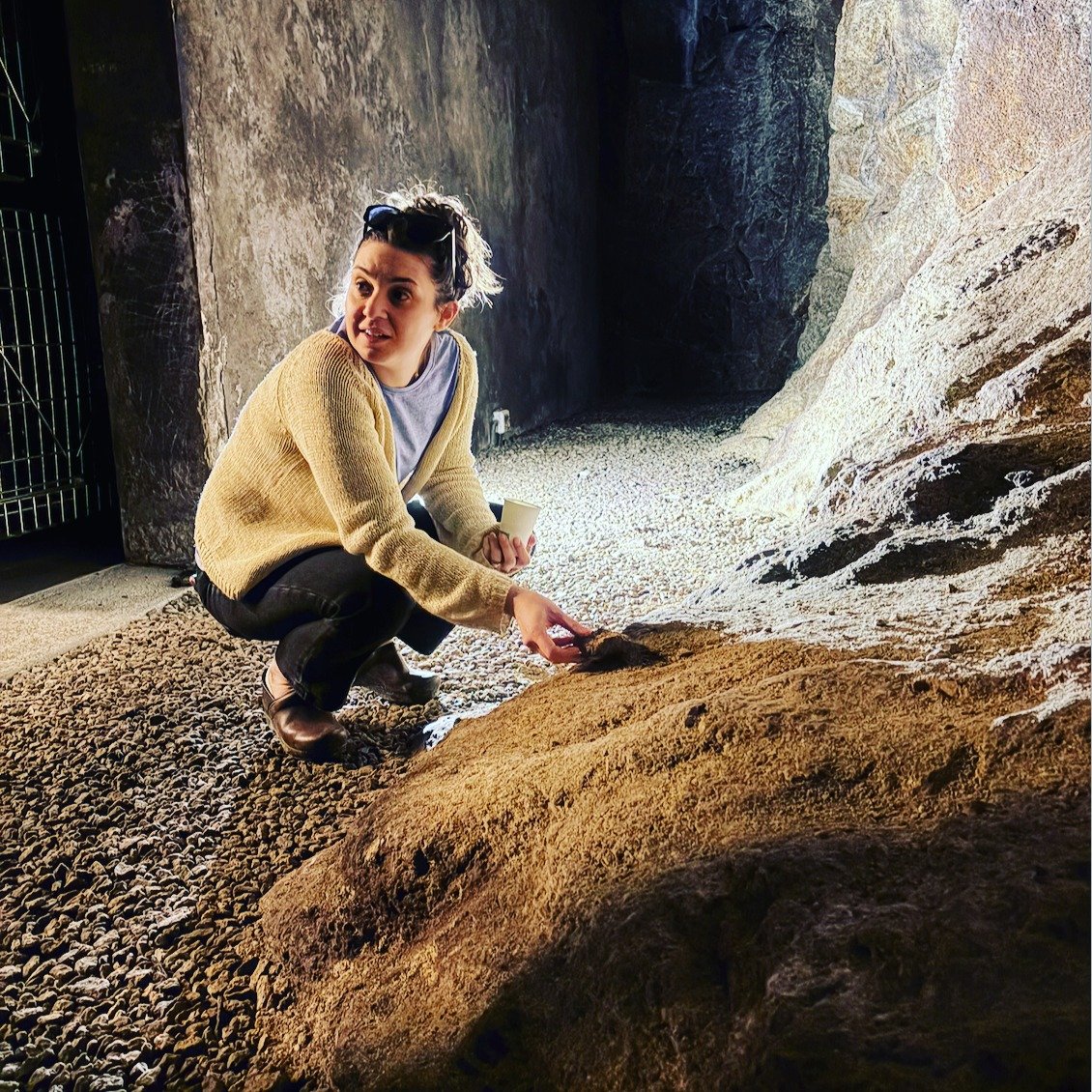 Phoebe's Portugal PART 2

A week immersed in Portugal's rich wine heritage...presented through the eyes of our partners @quintadelemos @mainovaalentejo @sanguinhal 

@phoebebirds