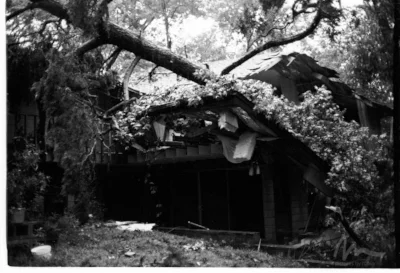 6:30am, Gainesville, Florida, May 8, 1979