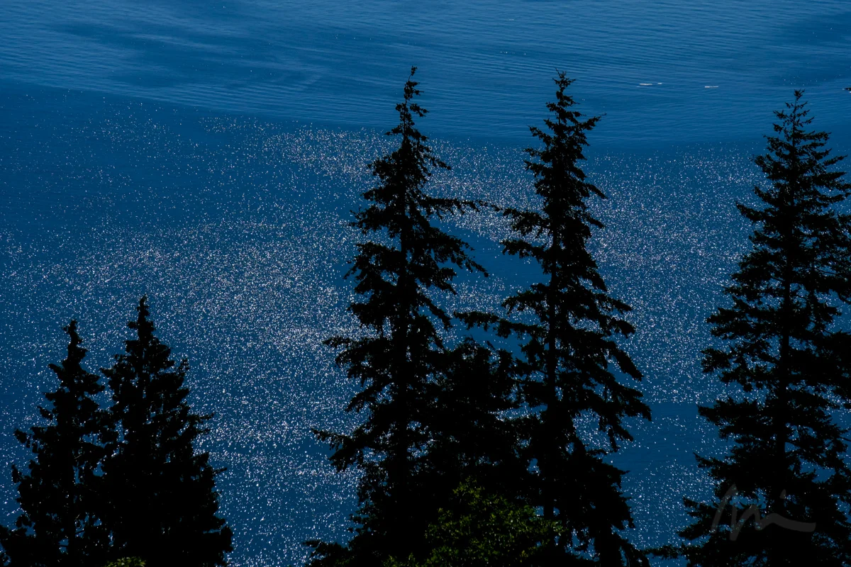 DSCF6220.jpg