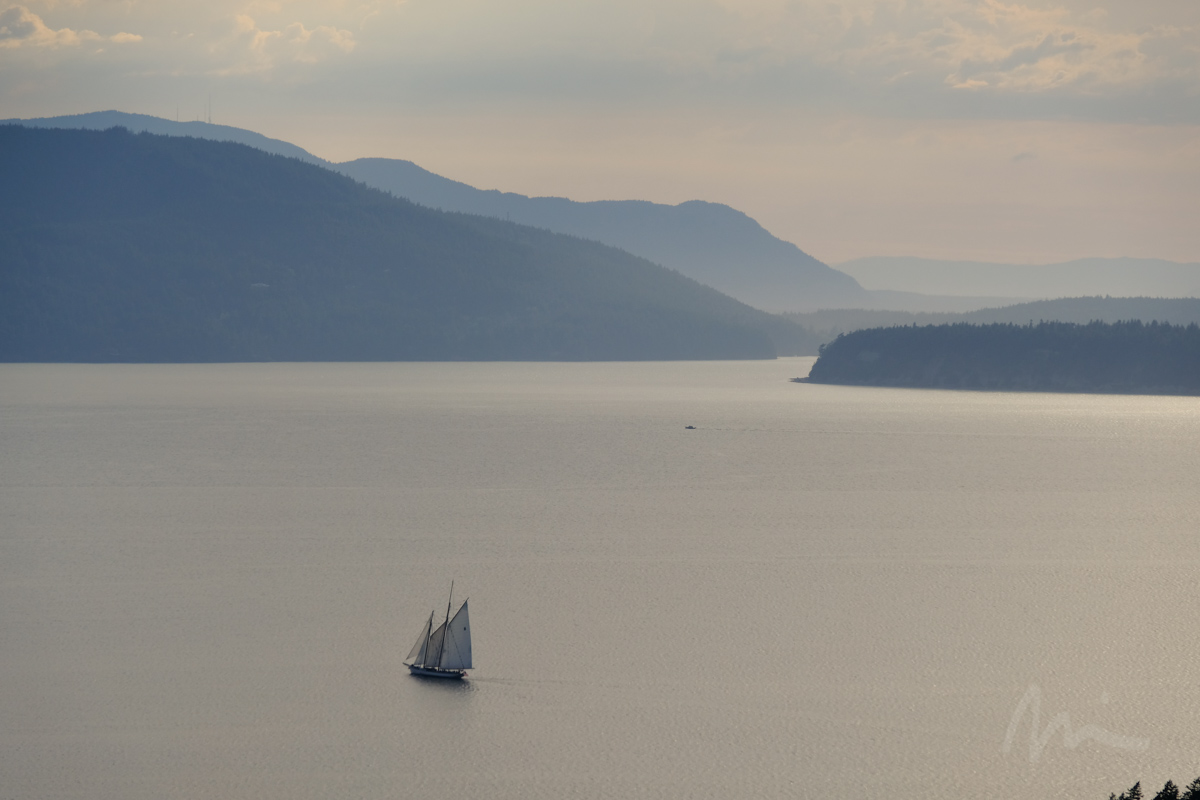 DSCF6768.jpg