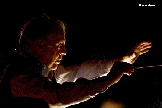 Highlights of the Met's 2008-09 Season